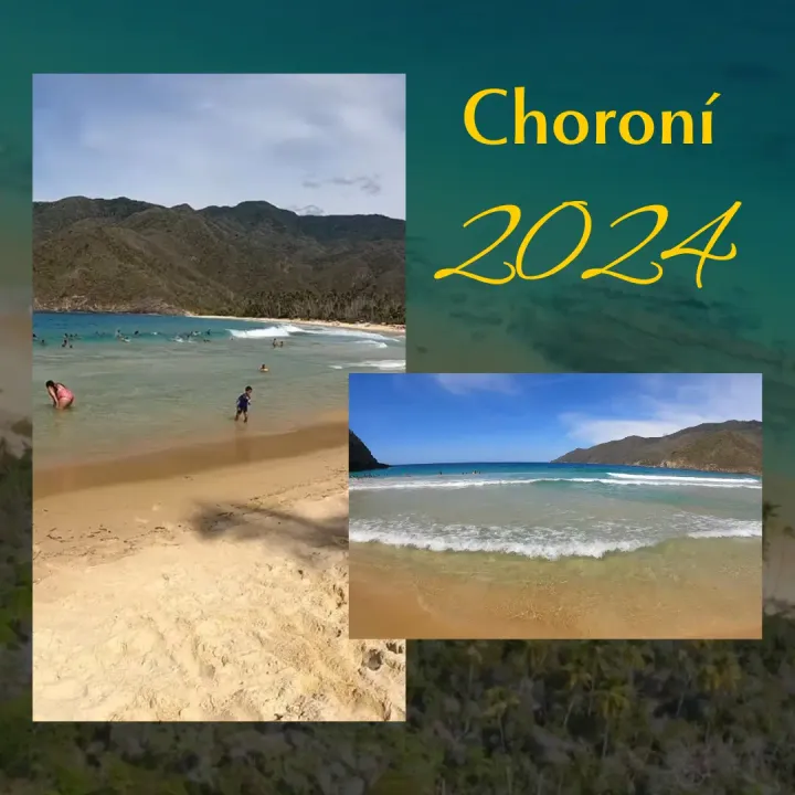 Cuanto cuesta viajar a Choroní 2024